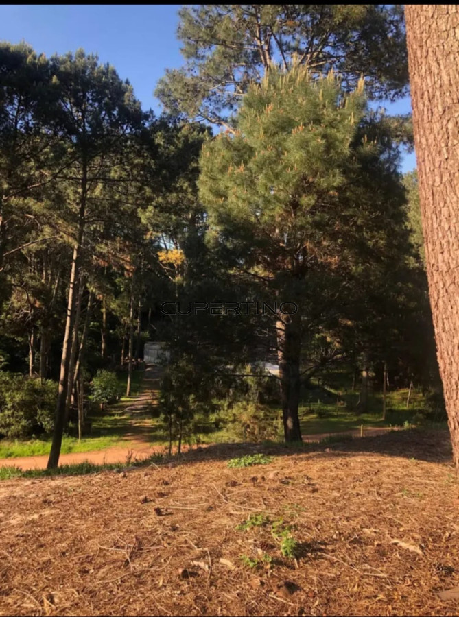 Terreno en venta en Club del lago punta ballena — foto 4