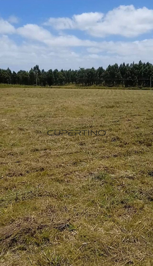 Venta Terreno San Carlos — foto 1