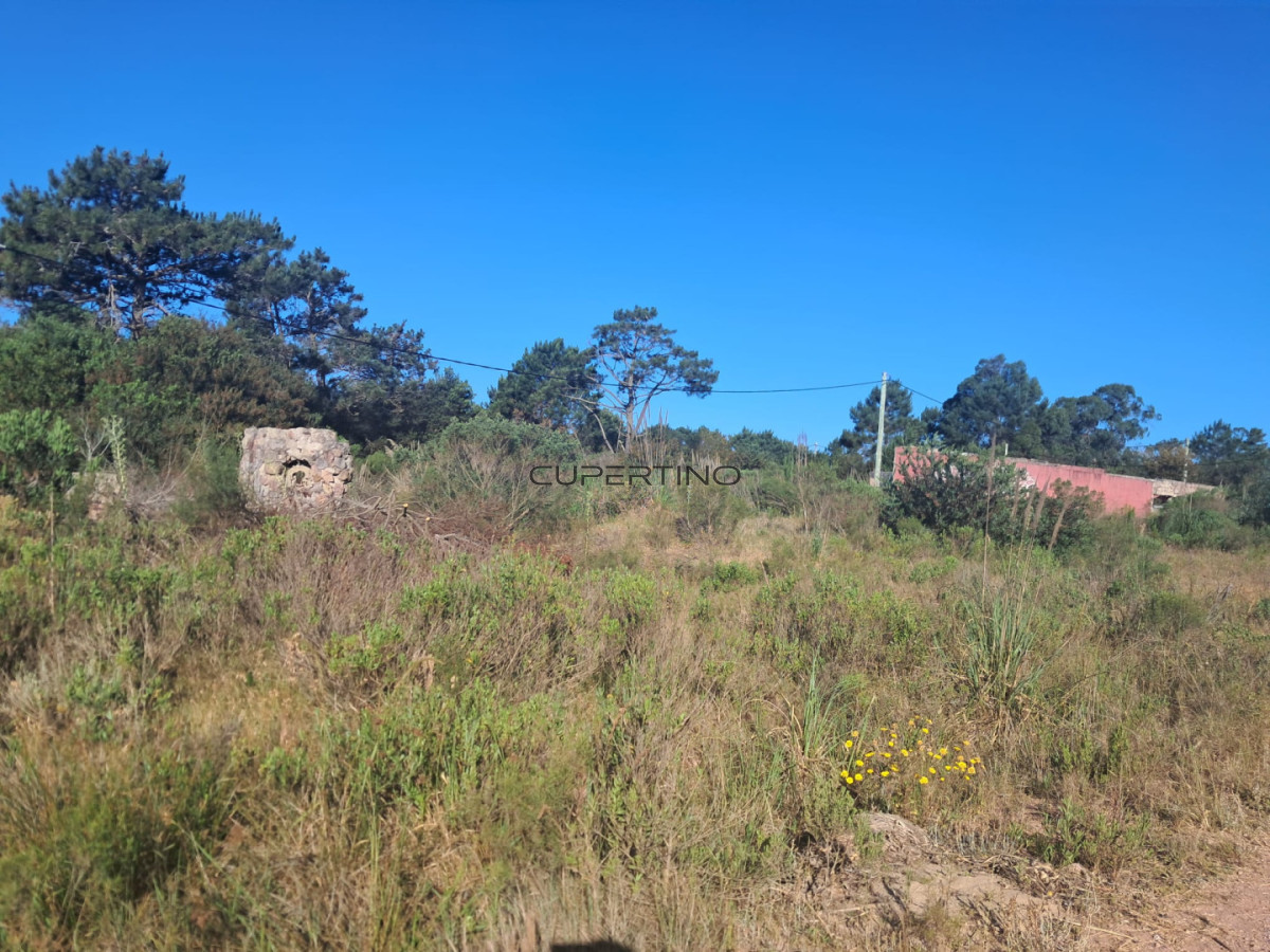 Manzana entera en venta - 16 terrenos - Punta del Diablo, Rocha — foto 4
