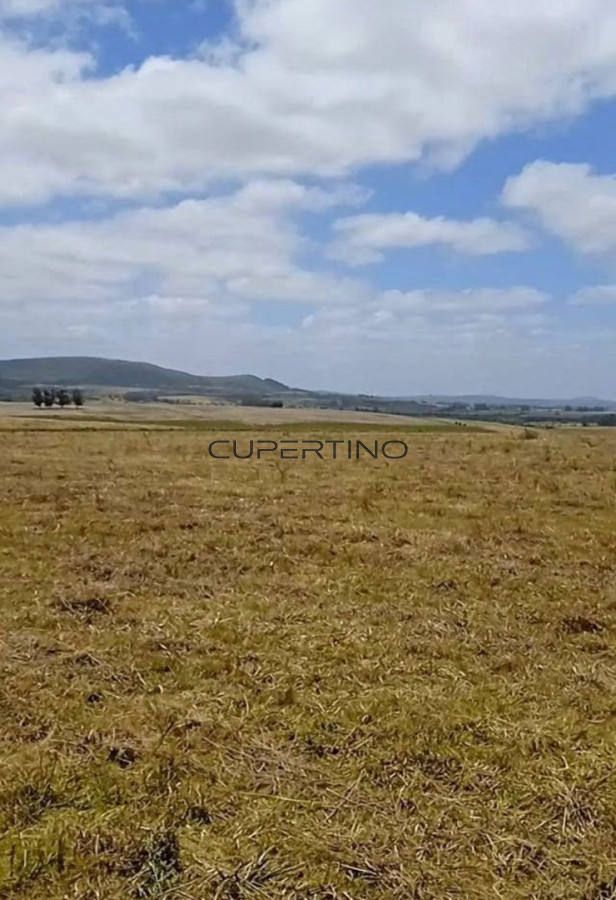 Venta Terreno San Carlos — foto 3