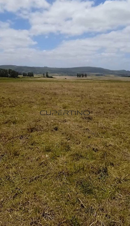 Venta Terreno San Carlos — foto 2