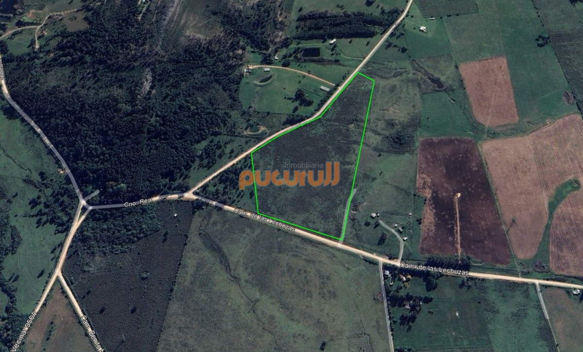 Chacra ID.2690 - Venta de Chacra 10 Hectáreas en Lapataia, Maldonado, Uruguay