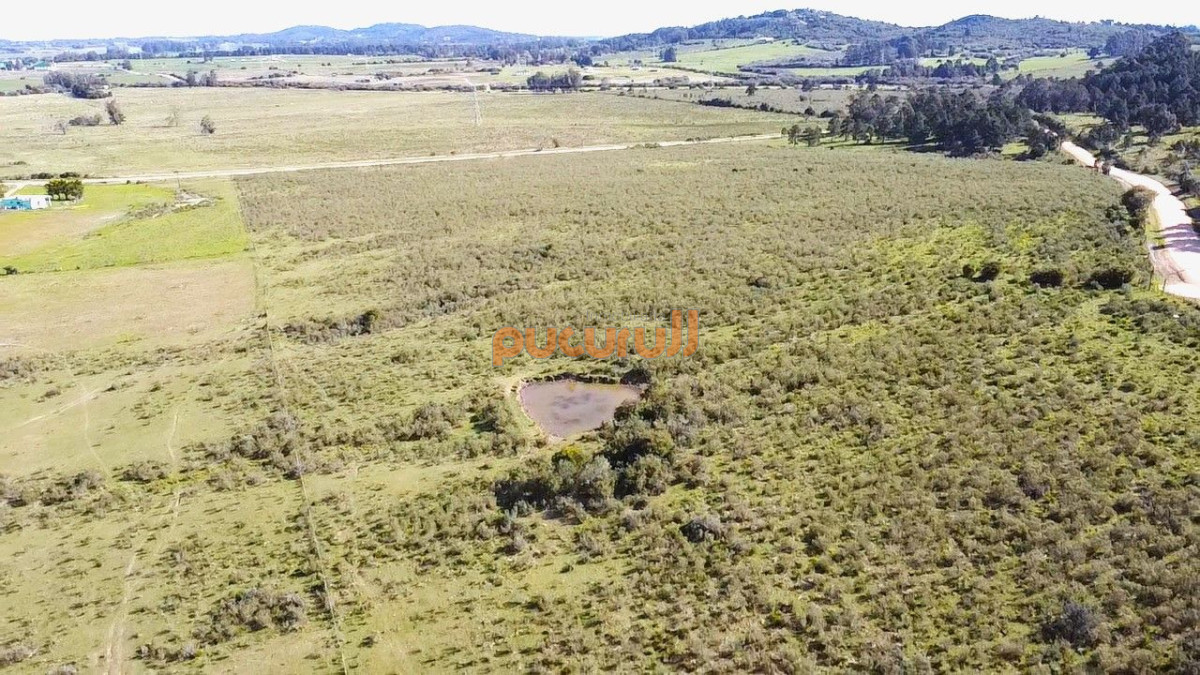 Chacra ID.2690 - Venta de Chacra 10 Hectáreas en Lapataia, Maldonado, Uruguay