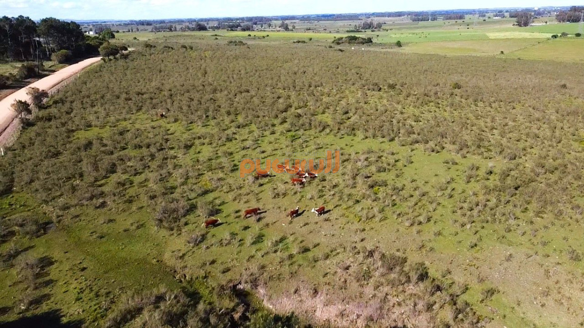 Chacra ID.2690 - Venta de Chacra 10 Hectáreas en Lapataia, Maldonado, Uruguay