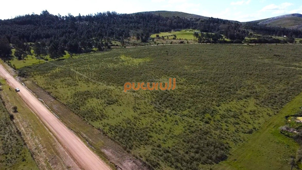 Chacra ID.2690 - Venta de Chacra 10 Hectáreas en Lapataia, Maldonado, Uruguay