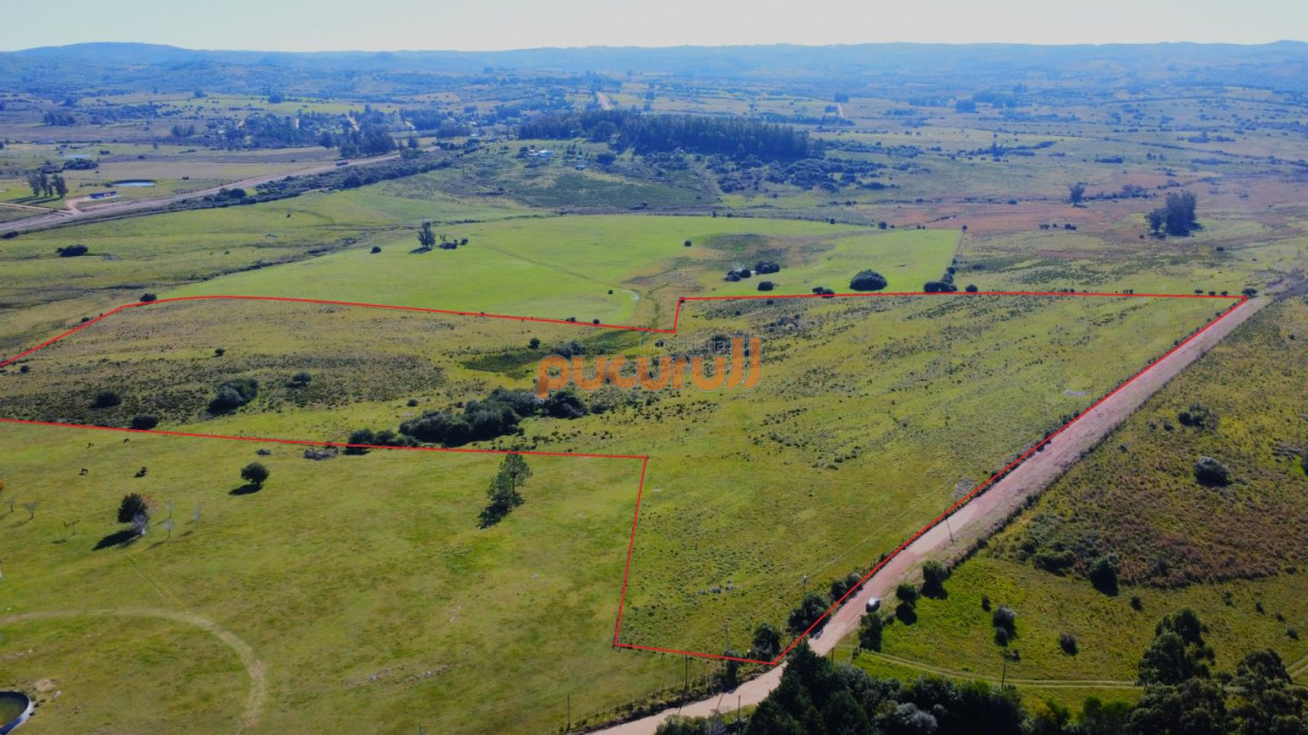 Venta de Chacras con 3 hectáreas en Pueblo Edén
