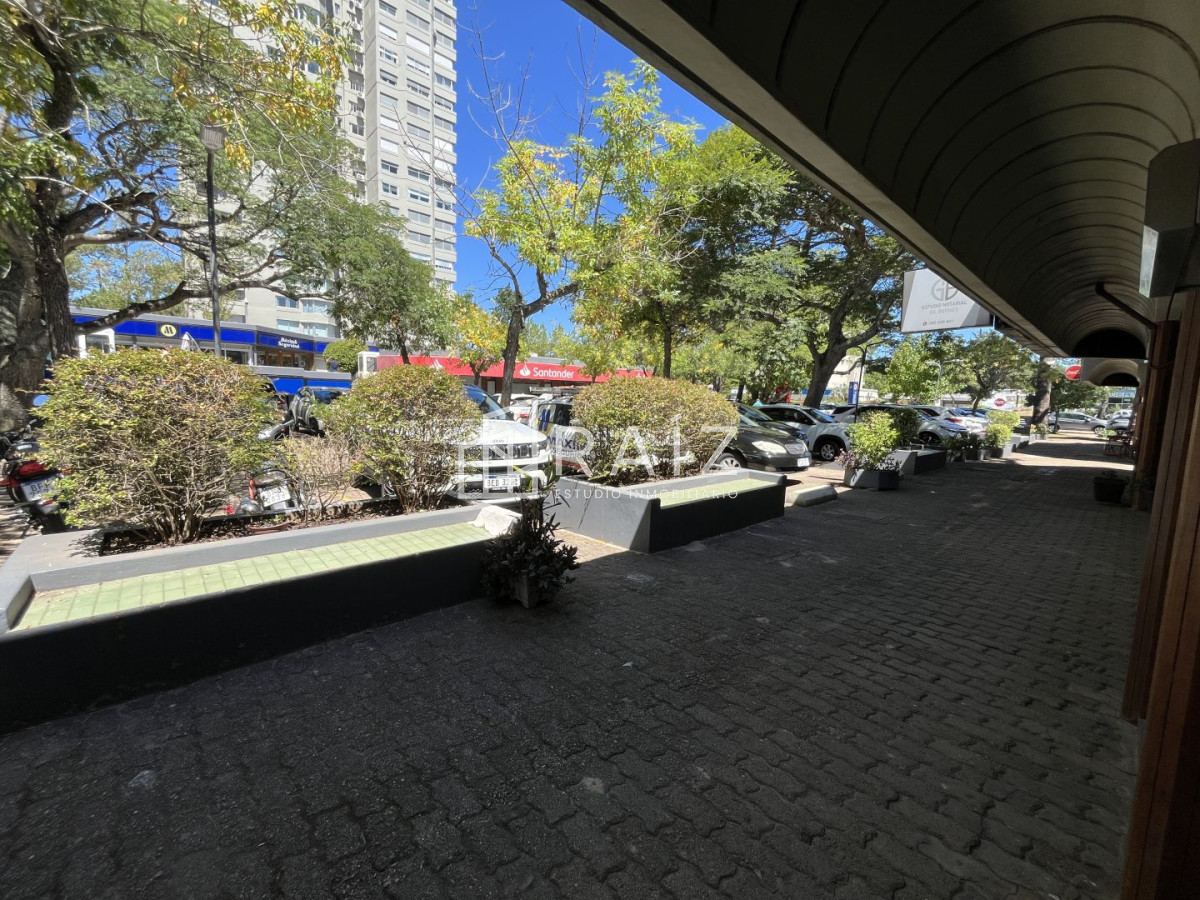 Local Comercial ID.12052 - Local en Venta en Galería Santander, Roosevelt Punta del Este