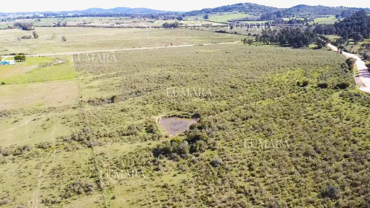 Chacra ID.3232 - Venta de Chacra 10 Hectáreas en Lapataia, Maldonado, Uruguay
