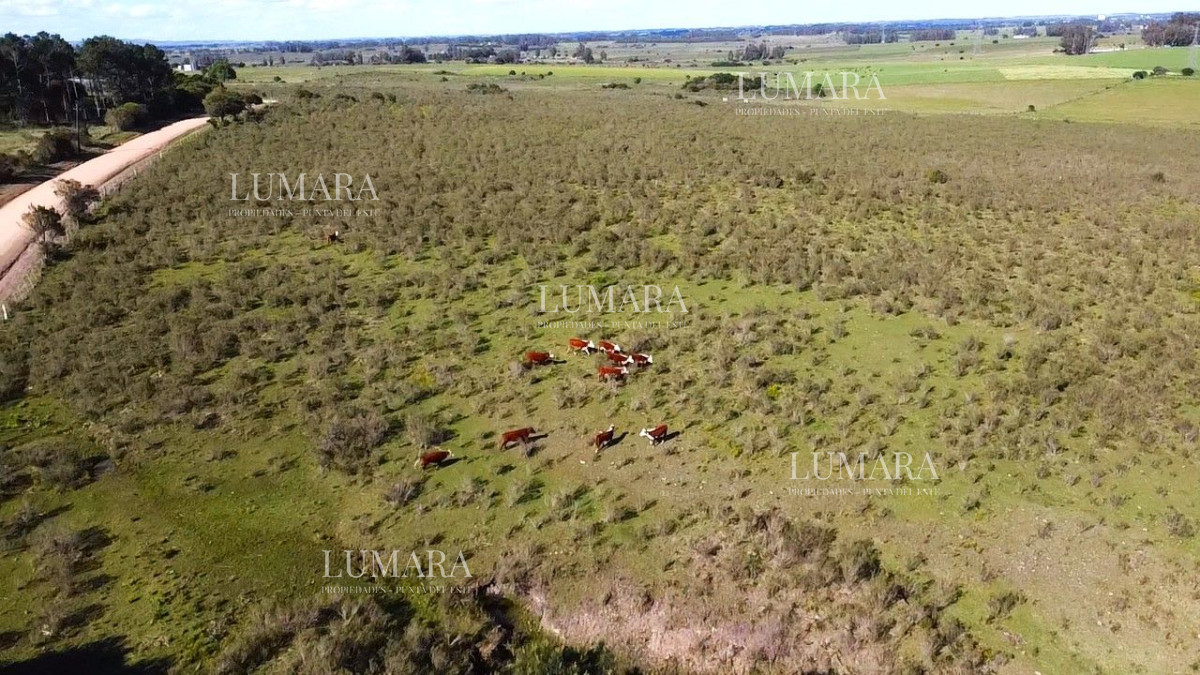 Chacra ID.3232 - Venta de Chacra 10 Hectáreas en Lapataia, Maldonado, Uruguay