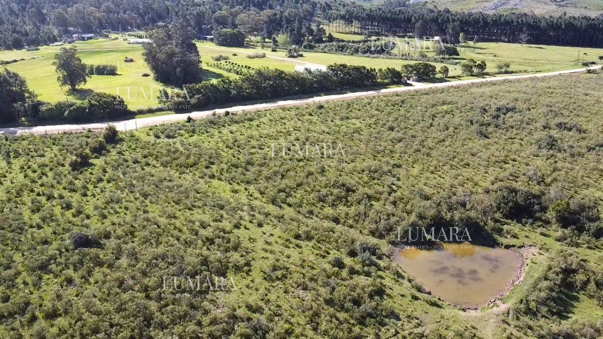 Chacra ID.3232 - Venta de Chacra 10 Hectáreas en Lapataia, Maldonado, Uruguay