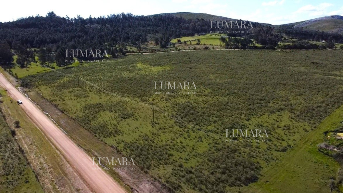 Chacra ID.3232 - Venta de Chacra 10 Hectáreas en Lapataia, Maldonado, Uruguay