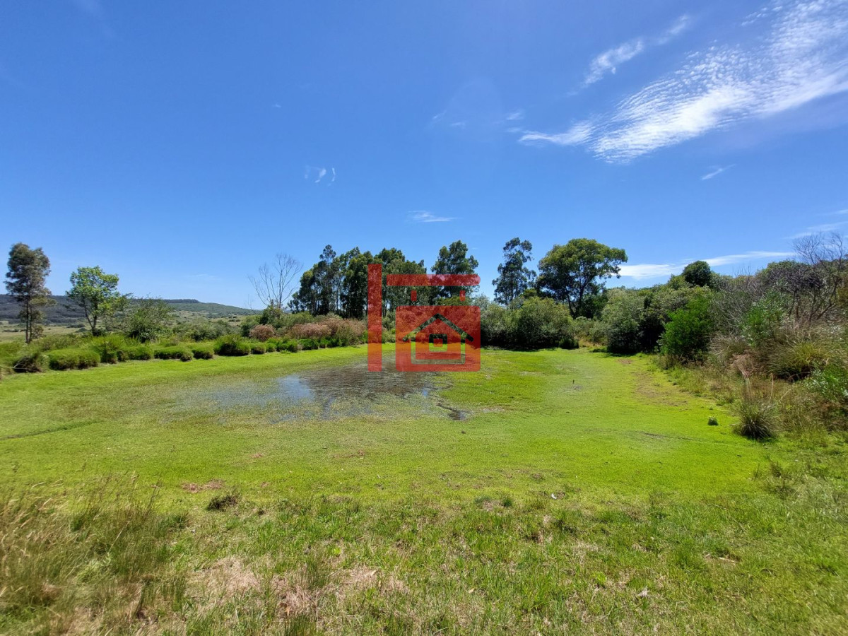 Chacra ID.726 - Venta de Chacra con casa 3 dormitorios en zona Calera del Rey, Maldonado