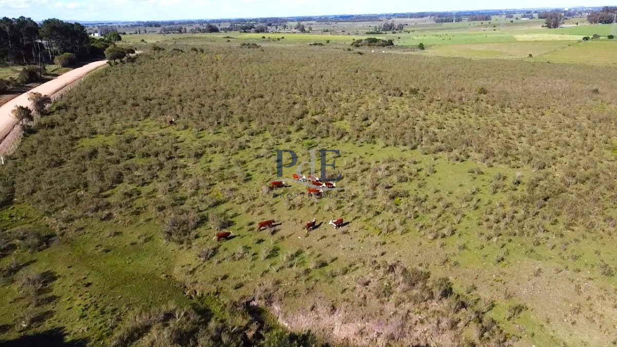Chacra en venta de 10,4 hectáreas en Lapataia, Maldonado. - Imagen 3
