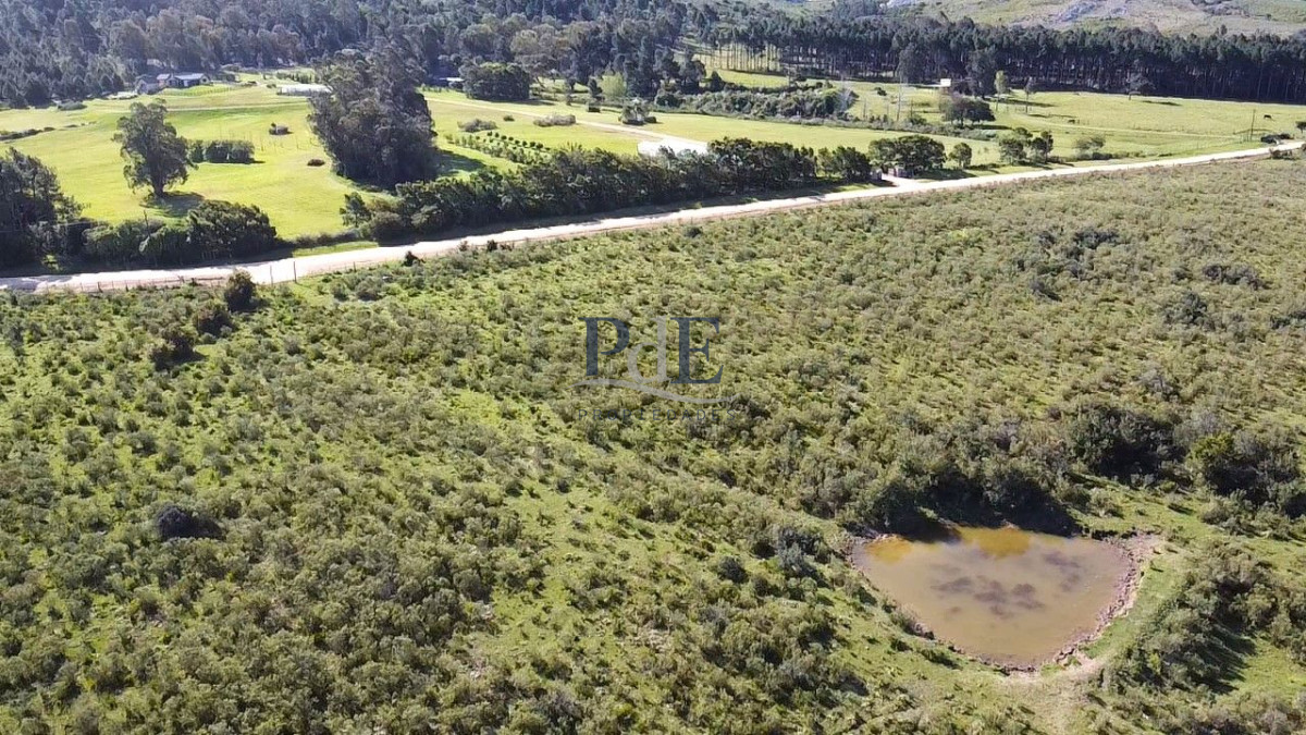Chacra en venta de 10,4 hectáreas en Lapataia, Maldonado. - Imagen 4