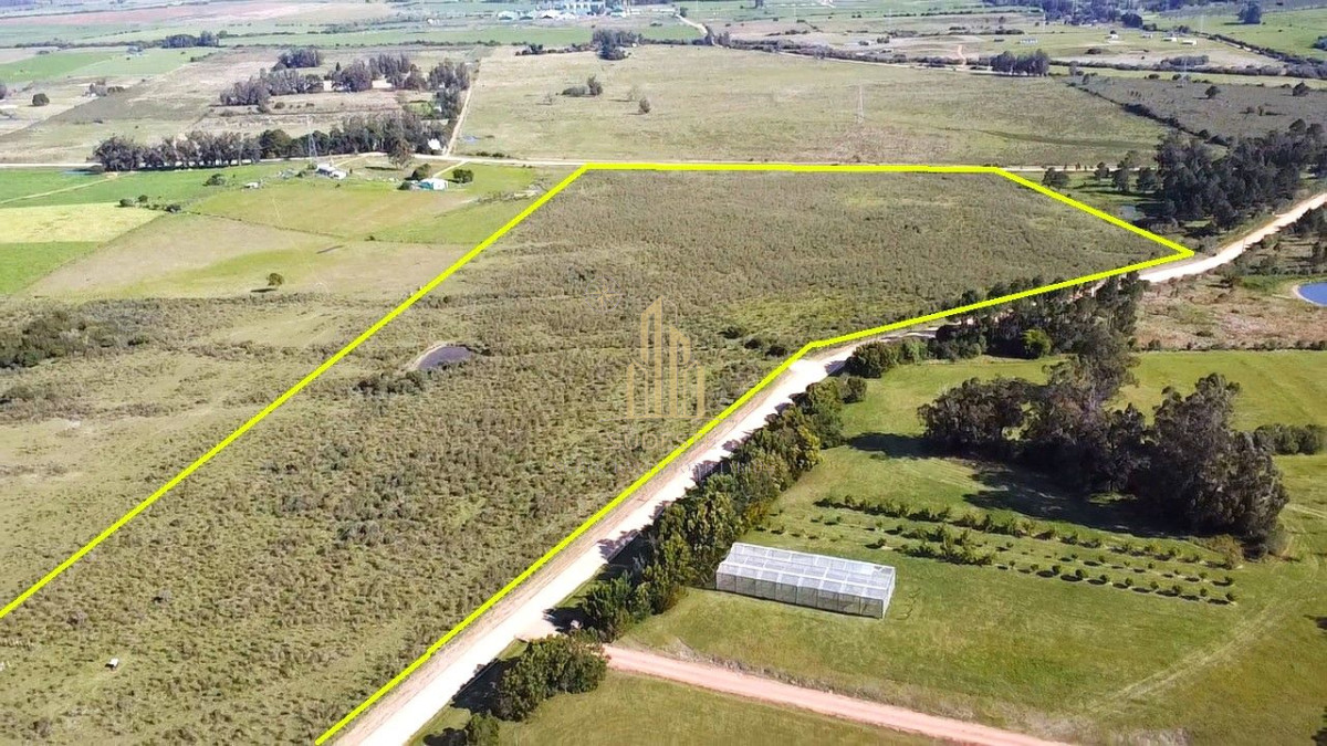 Apartamento ID.86 - Venta de Chacra 10 Hectáreas en Lapataia, Maldonado, Uruguay