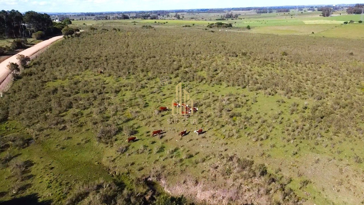 Apartamento ID.86 - Venta de Chacra 10 Hectáreas en Lapataia, Maldonado, Uruguay
