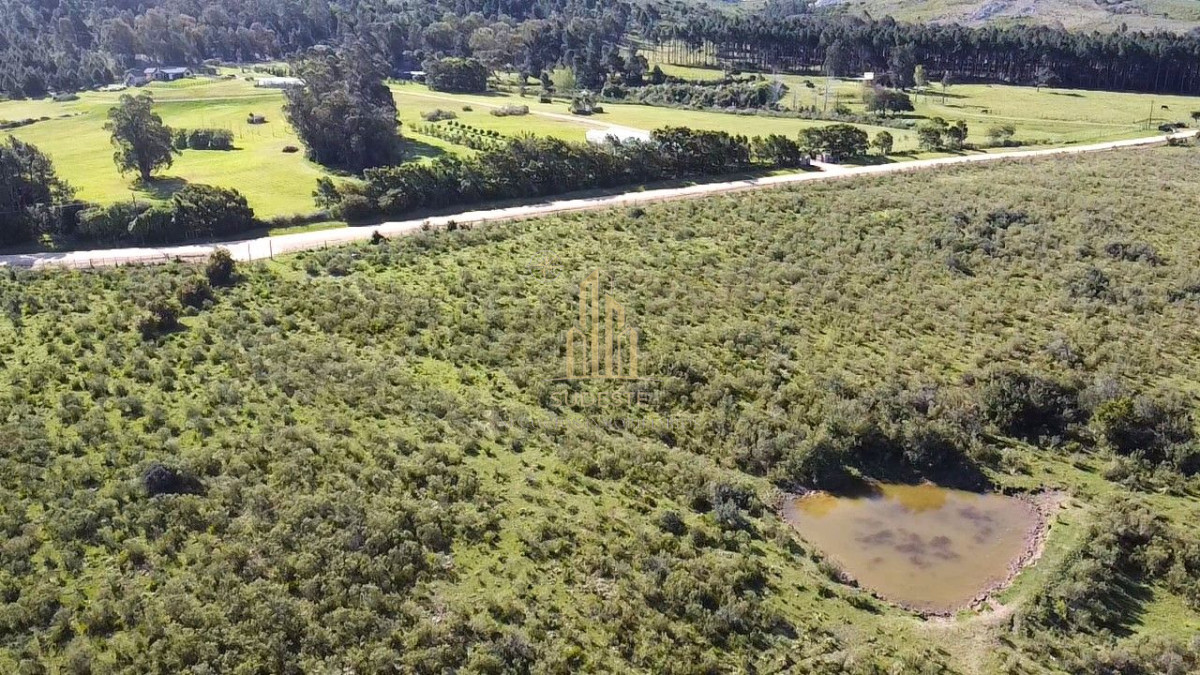 Apartamento ID.86 - Venta de Chacra 10 Hectáreas en Lapataia, Maldonado, Uruguay
