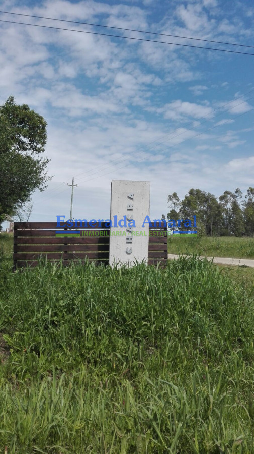 Terreno