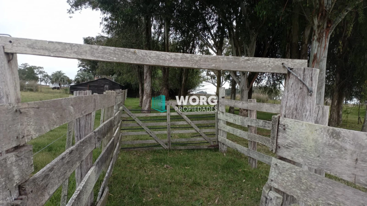 Chacra ID.91 - Hermosa chacra con casa en venta