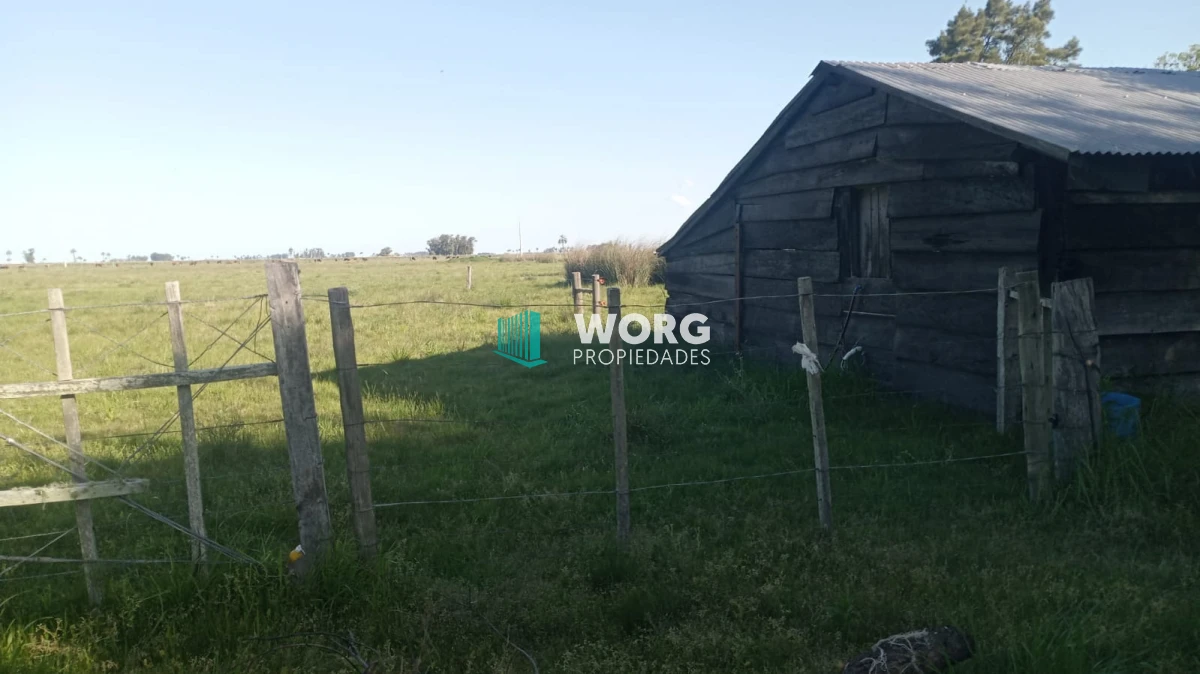 Chacra ID.91 - Hermosa chacra con casa en venta