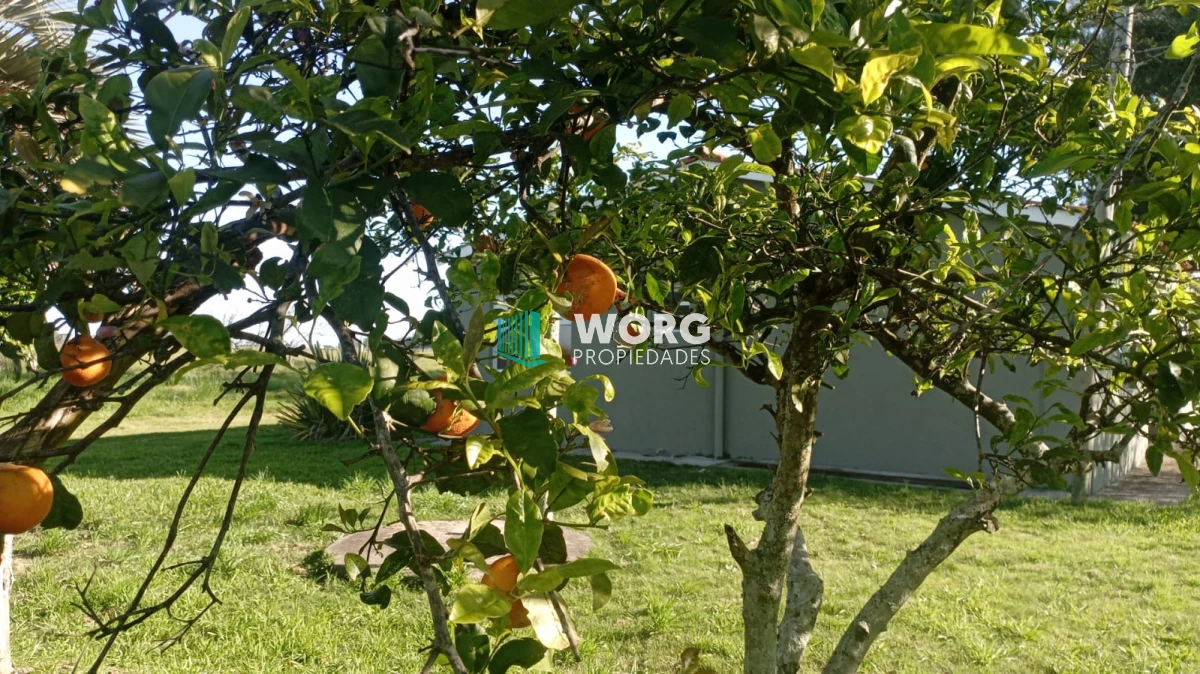 Chacra ID.91 - Hermosa chacra con casa en venta