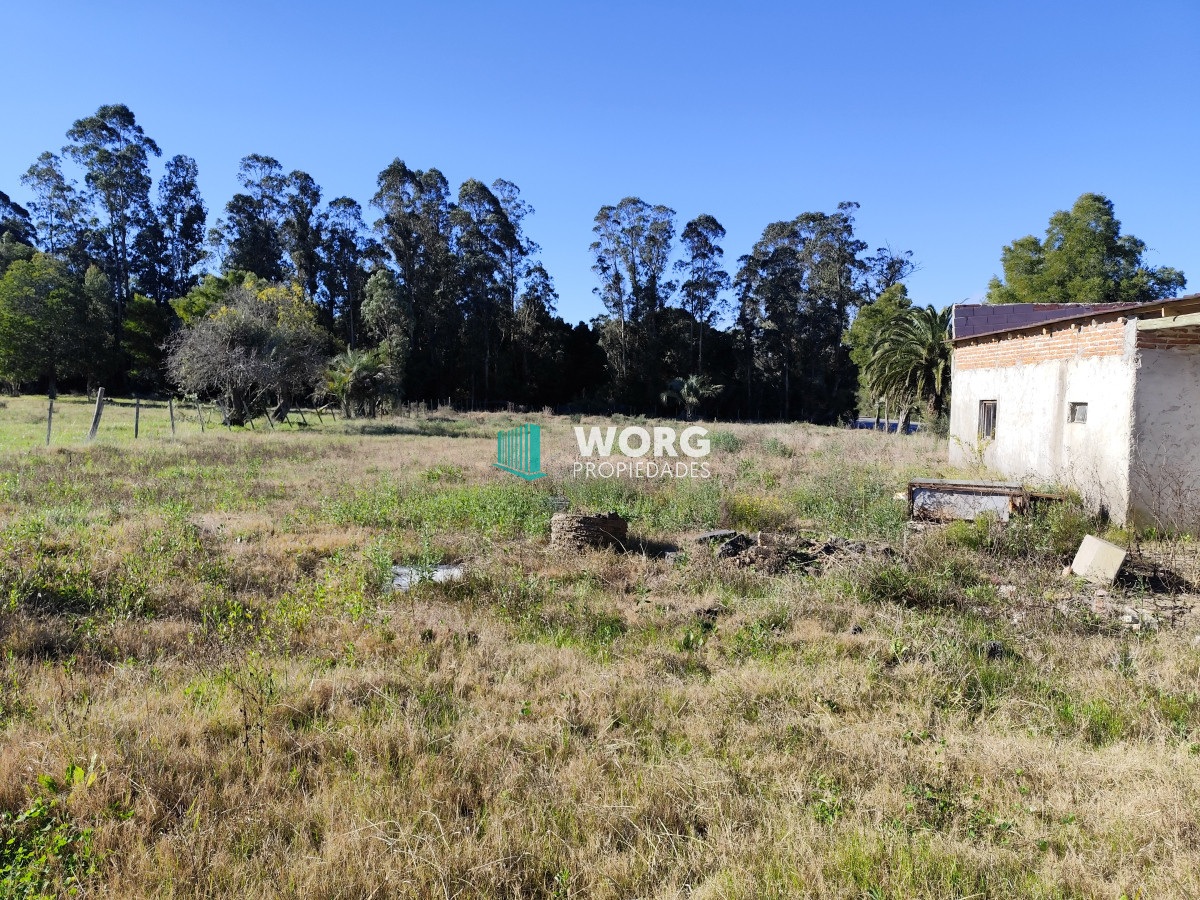 Chacra ID.52 - OPORTUNIDAD