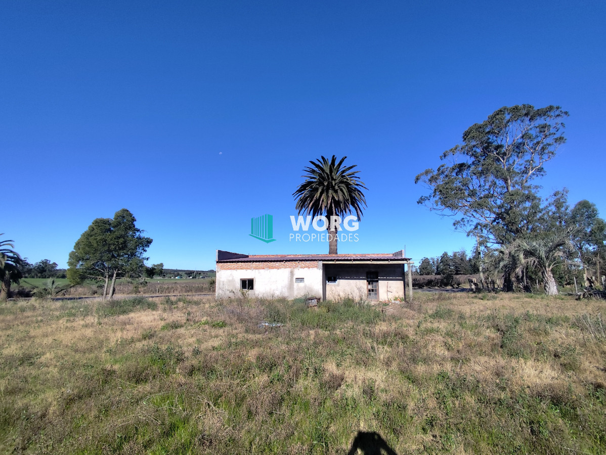 Chacra ID.52 - OPORTUNIDAD