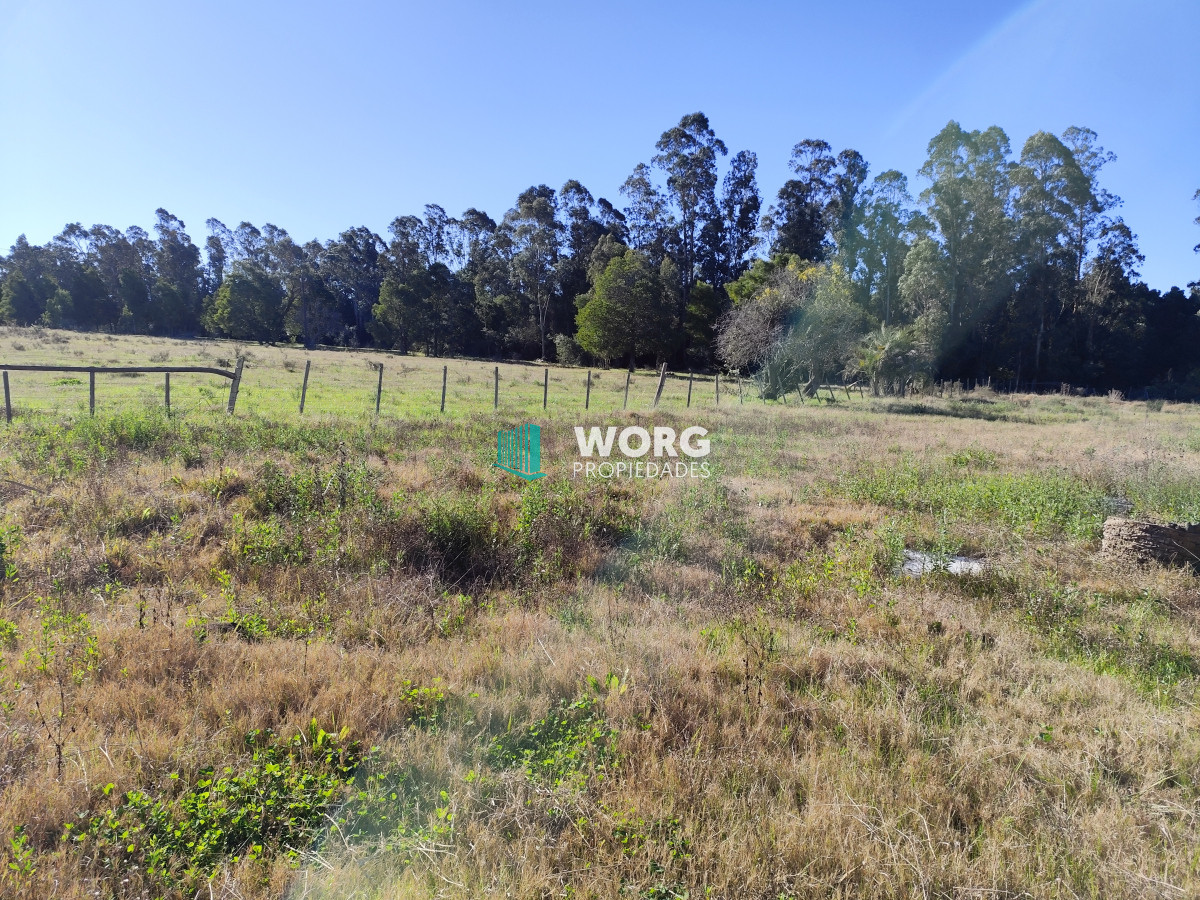 Chacra ID.52 - OPORTUNIDAD