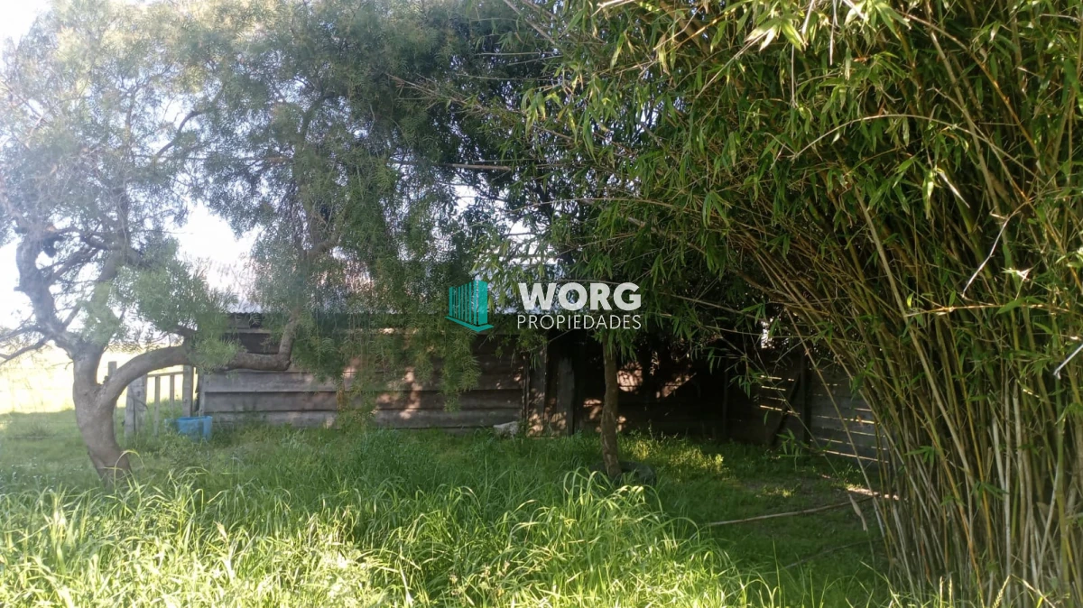 Chacra ID.91 - Hermosa chacra con casa en venta