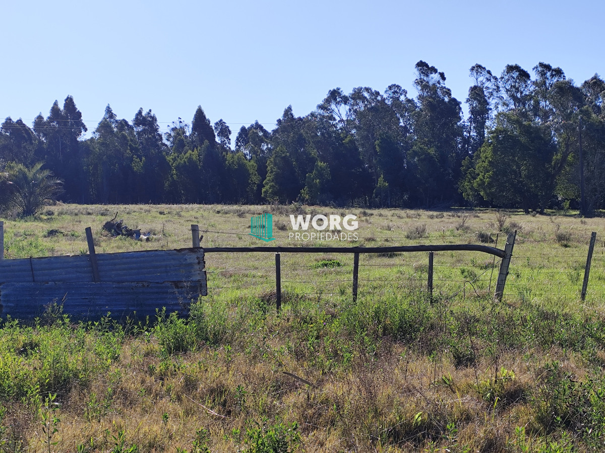 Chacra ID.52 - OPORTUNIDAD