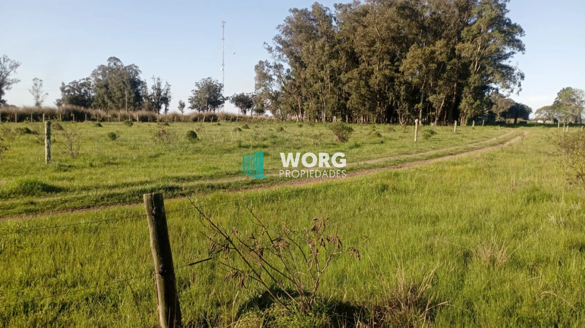 Chacra ID.91 - Hermosa chacra con casa en venta