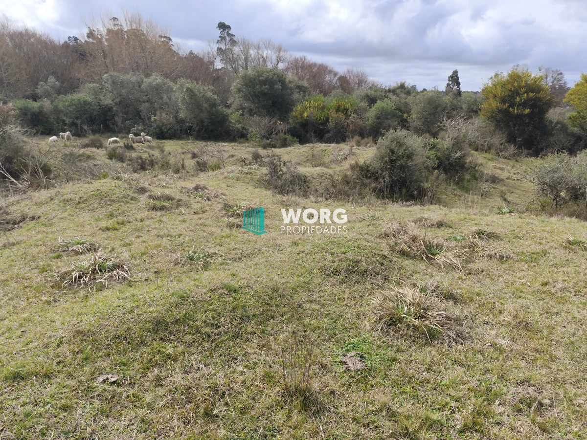Chacra ID.4 - Hermosa chacra con casa en venta
