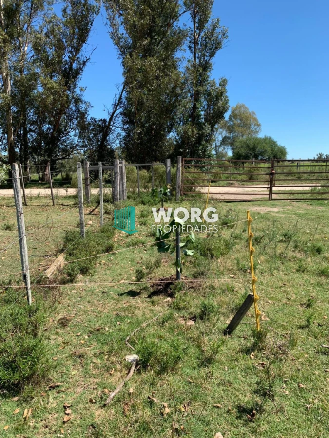 Chacra ID.103 - Excelente chacra en venta