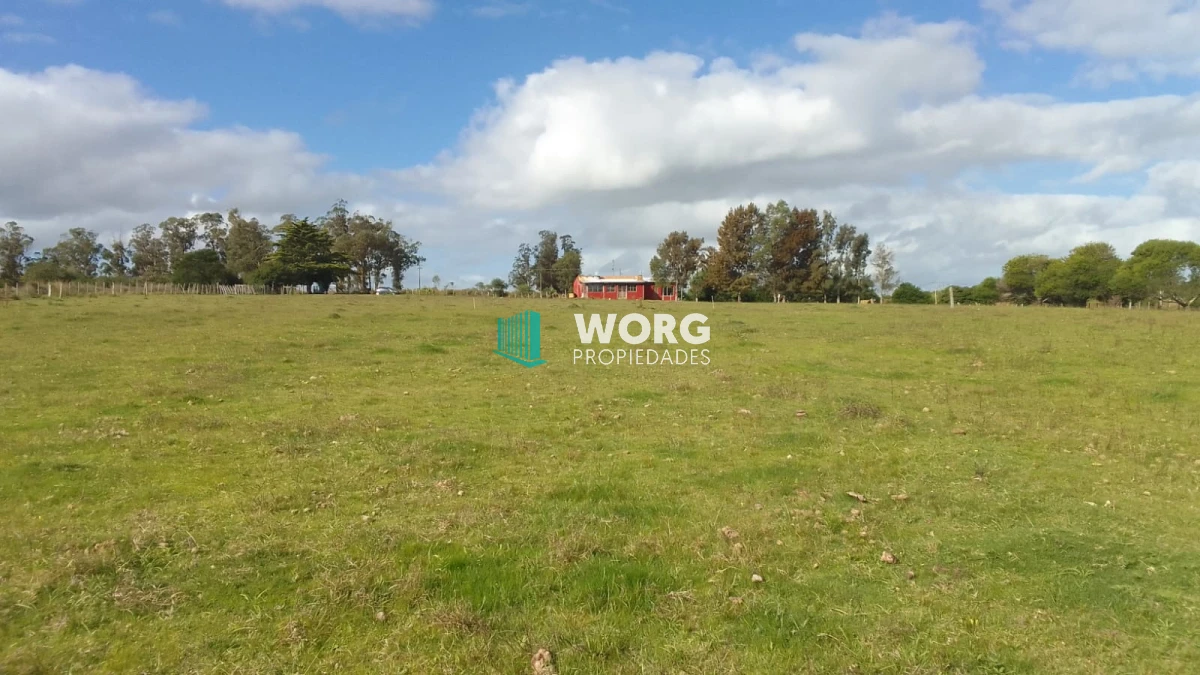 Chacra ID.88 - OPORTUNIDAD