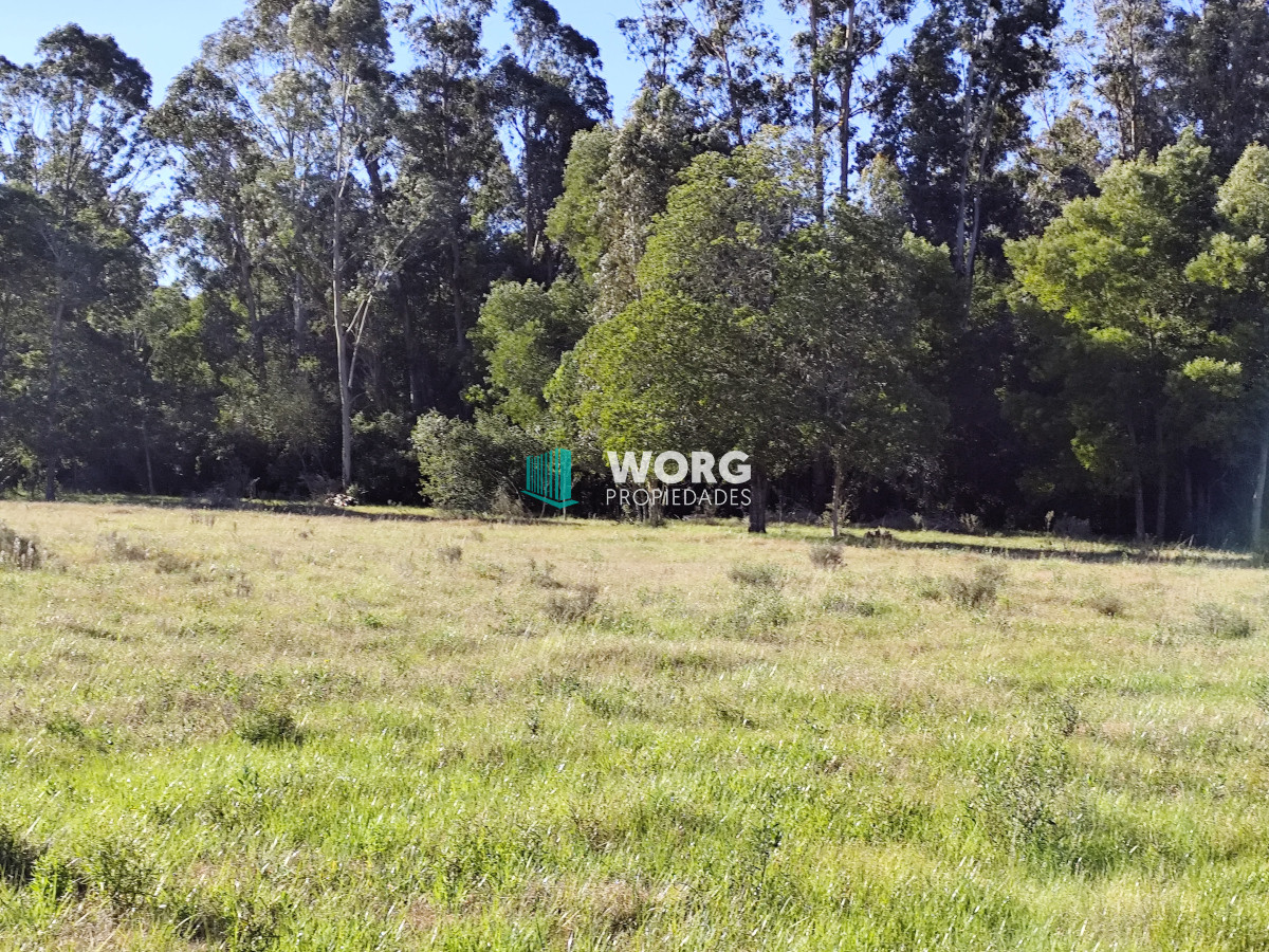 Chacra ID.52 - OPORTUNIDAD