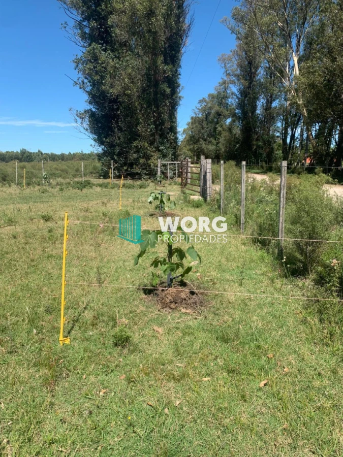 Chacra ID.103 - Excelente chacra en venta