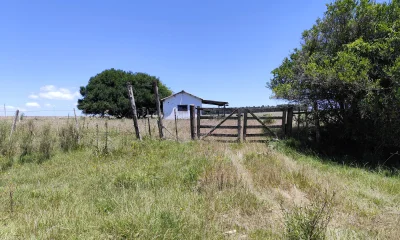 Hermosa chacra de 17 hectáreas