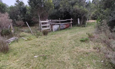 OPORTUNIDAD