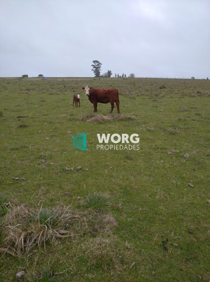 Campo Ref.9 - Excelente campo en ruta 9