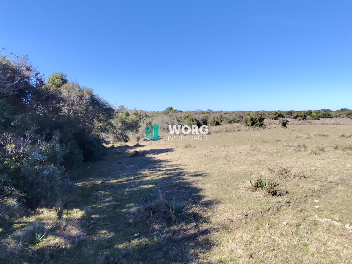 Campo Ref.48 - OPORTUNIDAD