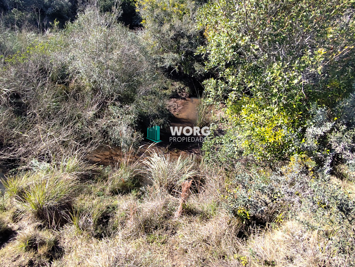 Campo Ref.48 - OPORTUNIDAD