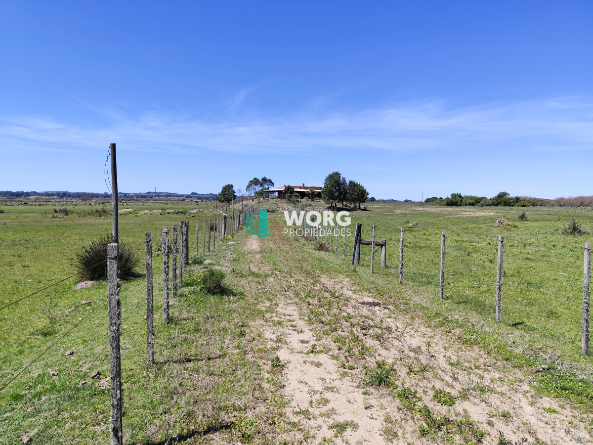 Campo Ref.23 - Campo de 37 hectáreas sobre ruta 39