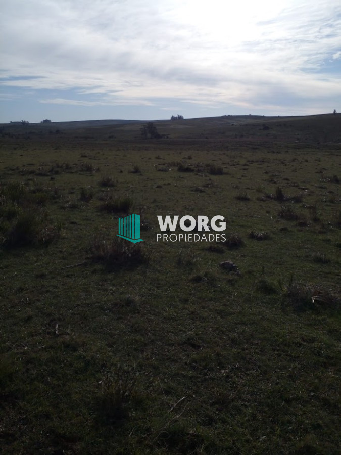 Campo Ref.9 - Excelente campo en ruta 9