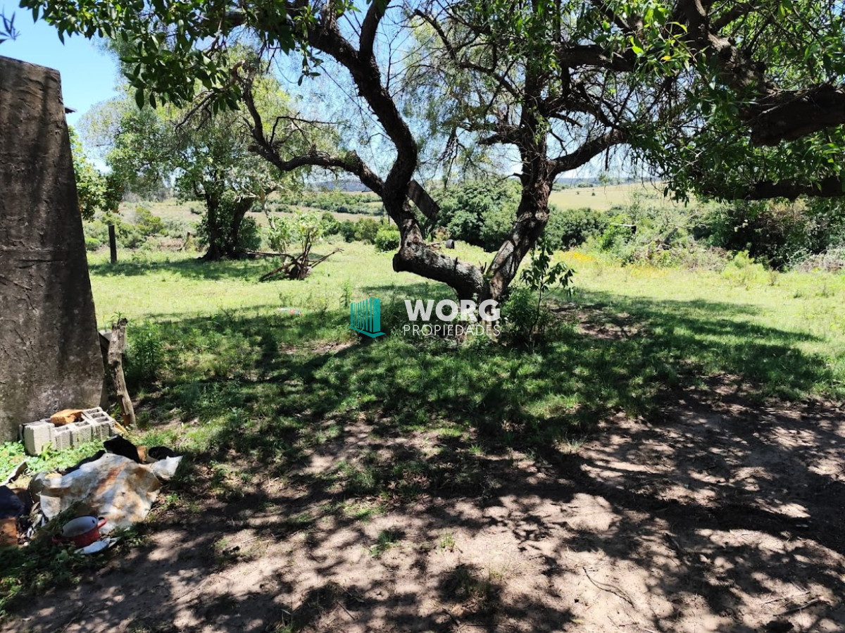 Campo Ref.1 - Excelente campo en Don Carlos