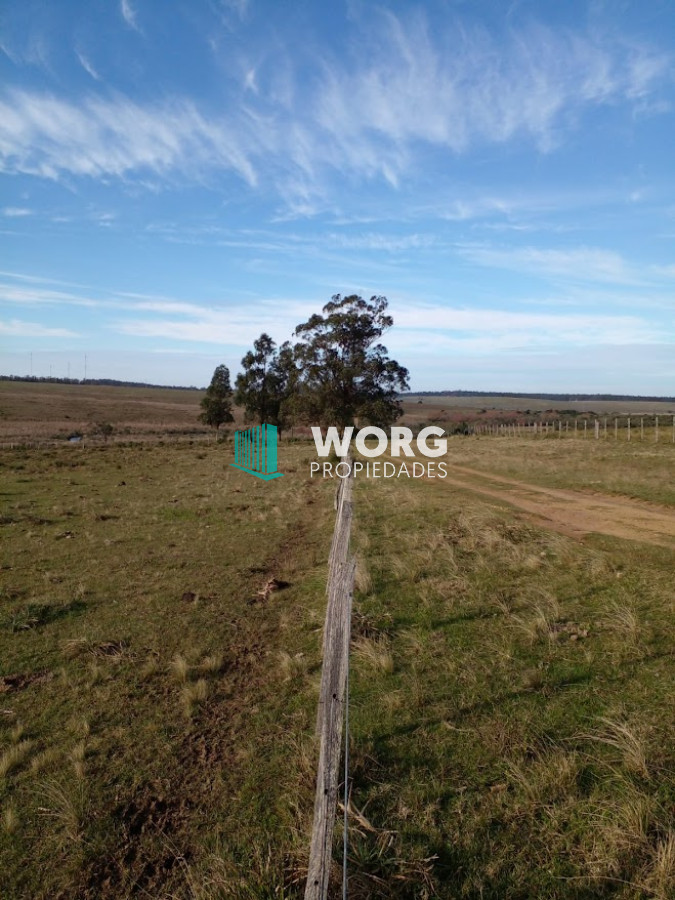Campo Ref.9 - Excelente campo en ruta 9