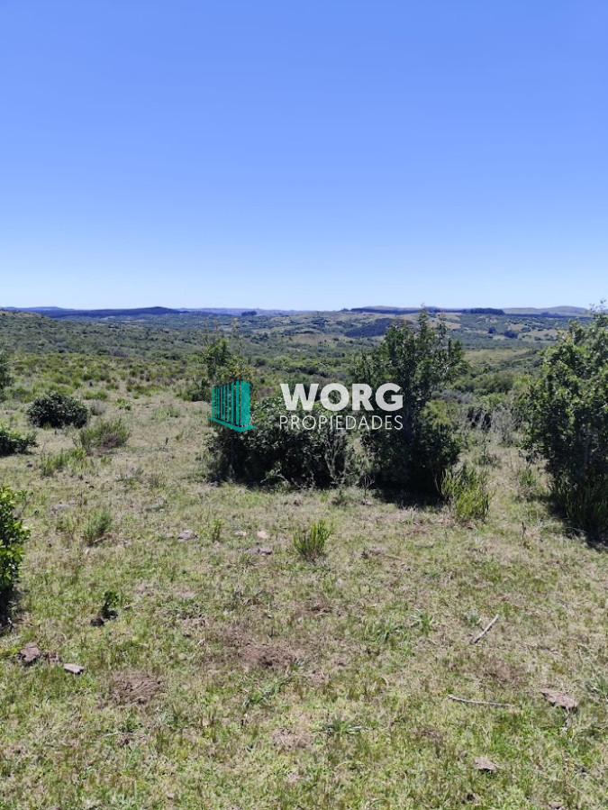 Campo Ref.1 - Excelente campo en Don Carlos