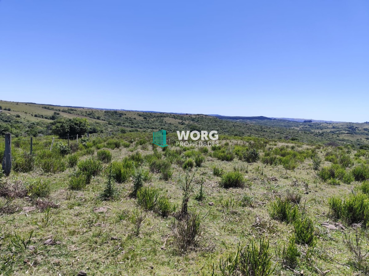 Campo Ref.1 - Excelente campo en Don Carlos