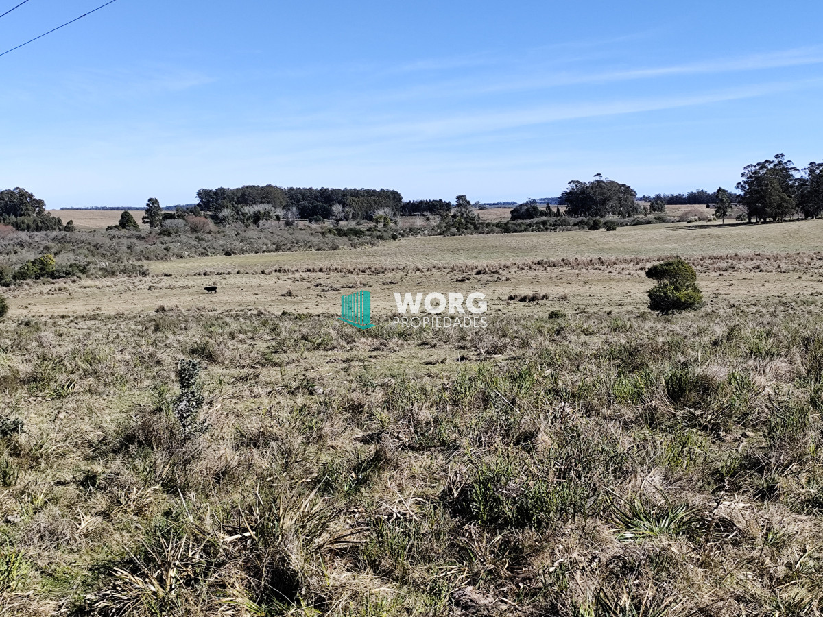 Campo Ref.48 - OPORTUNIDAD