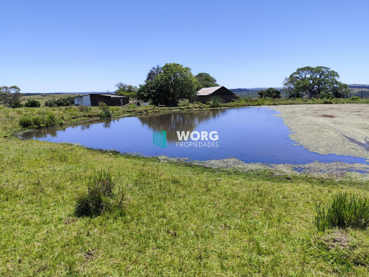 Campo Ref.1 - Excelente campo en Don Carlos