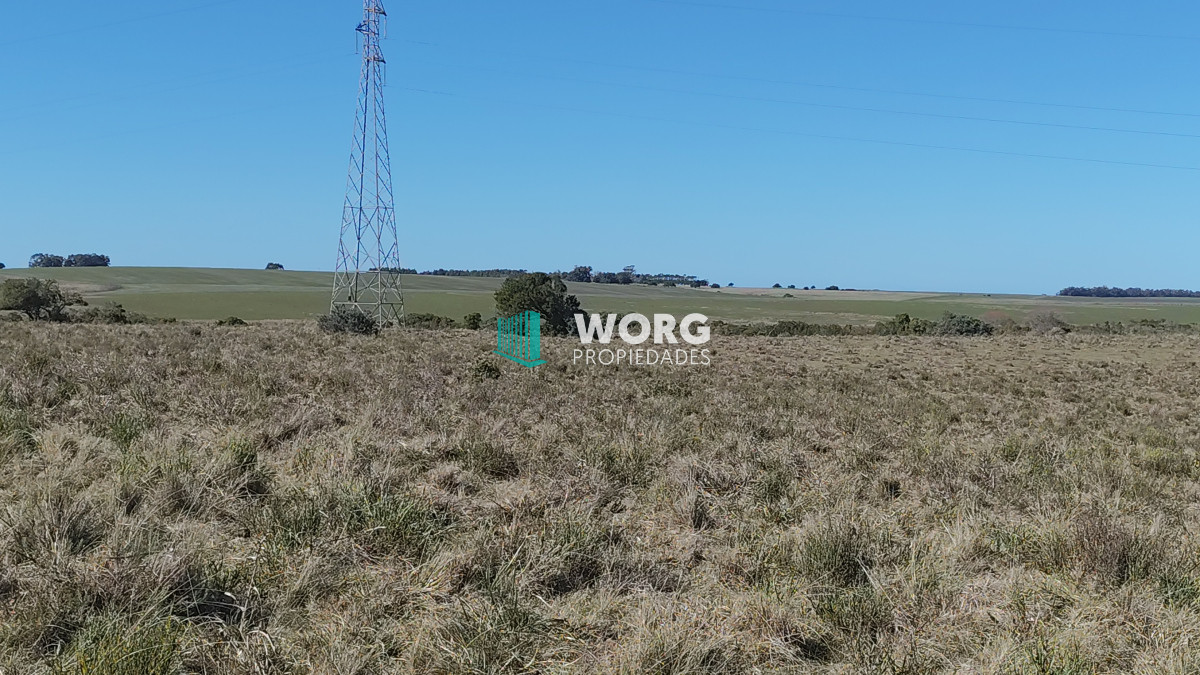 Campo Ref.48 - OPORTUNIDAD